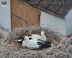 Capi_Dubne_20260719_184503.jpg