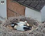 Capi_Dubne_20260719_185004.jpg
