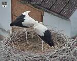 Capi_Dubne_20260719_185504.jpg
