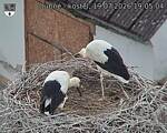 Capi_Dubne_20260719_190504.jpg