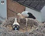 Capi_Dubne_20260719_191504.jpg