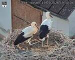 Capi_Dubne_20260719_193004.jpg