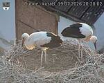 Capi_Dubne_20260719_202002.jpg