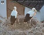 Capi_Dubne_20260719_203003.jpg