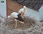 Capi_Dubne_20260719_203504.jpg