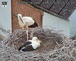 Capi_Dubne_20260719_205504.jpg