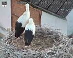Capi_Dubne_20260719_211005.jpg