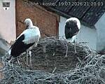 Capi_Dubne_20260719_212003.jpg