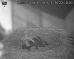 Capi_Dubne_20260719_221003.jpg