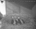 Capi_Dubne_20260720_004003.jpg