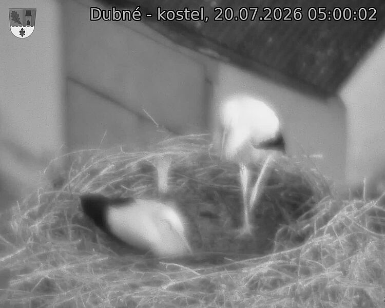 preload