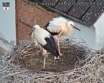 Capi_Dubne_20260720_052004.jpg