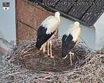 Capi_Dubne_20260720_052502.jpg