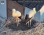 Capi_Dubne_20260720_060003.jpg
