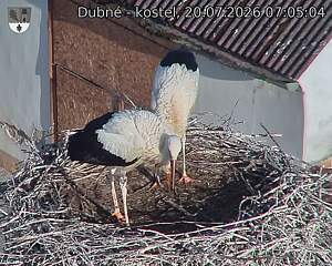 preload