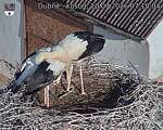 Capi_Dubne_20260720_071004.jpg