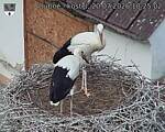 Capi_Dubne_20260720_102502.jpg
