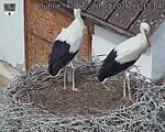 Capi_Dubne_20260720_111004.jpg