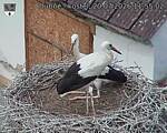 Capi_Dubne_20260720_115502.jpg
