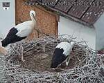 Capi_Dubne_20260720_120503.jpg