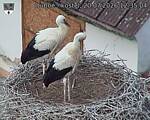 Capi_Dubne_20260720_123504.jpg