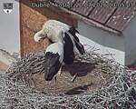 Capi_Dubne_20260720_130503.jpg