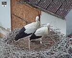 Capi_Dubne_20260720_135504.jpg