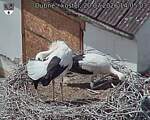 Capi_Dubne_20260720_140503.jpg