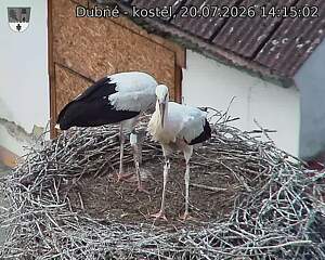 preload