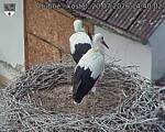 Capi_Dubne_20260720_144002.jpg