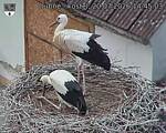Capi_Dubne_20260720_144503.jpg