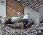 Capi_Dubne_20260720_145002.jpg