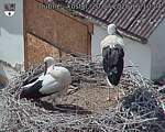 Capi_Dubne_20260720_151004.jpg