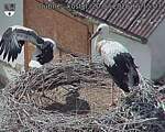 Capi_Dubne_20260720_151503.jpg