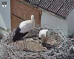 Capi_Dubne_20260720_154003.jpg