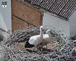 Capi_Dubne_20260720_154503.jpg