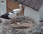 Capi_Dubne_20260720_155003.jpg