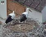 Capi_Dubne_20260720_160003.jpg