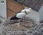 Capi_Dubne_20260720_161503.jpg