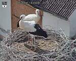 Capi_Dubne_20260720_170004.jpg