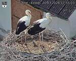 Capi_Dubne_20260720_175503.jpg