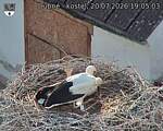 Capi_Dubne_20260720_190503.jpg
