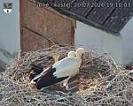Capi_Dubne_20260720_191003.jpg