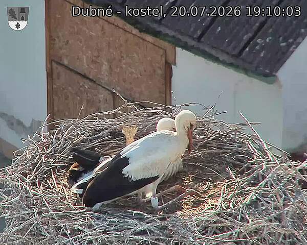 preload