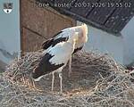 Capi_Dubne_20260720_195502.jpg