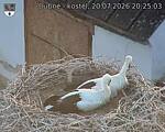 Capi_Dubne_20260720_202503.jpg