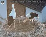 Capi_Dubne_20260720_203002.jpg