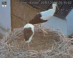 Capi_Dubne_20260720_203502.jpg