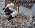 Capi_Dubne_20260721_163502.jpg