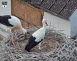 Capi_Dubne_20260721_164003.jpg